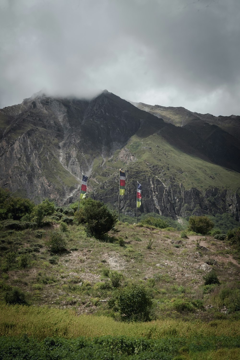 a group of flags on a hill