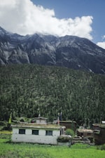 A small house with a flat roof, adorned with prayer flags, sits in a lush green valley. Behind it, a dense forest of tall pine trees stretches up the slope of a towering mountain range with rocky, jagged peaks under a partly cloudy blue sky.