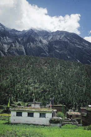 A small house with a flat roof, adorned with prayer flags, sits in a lush green valley. Behind it, a dense forest of tall pine trees stretches up the slope of a towering mountain range with rocky, jagged peaks under a partly cloudy blue sky.