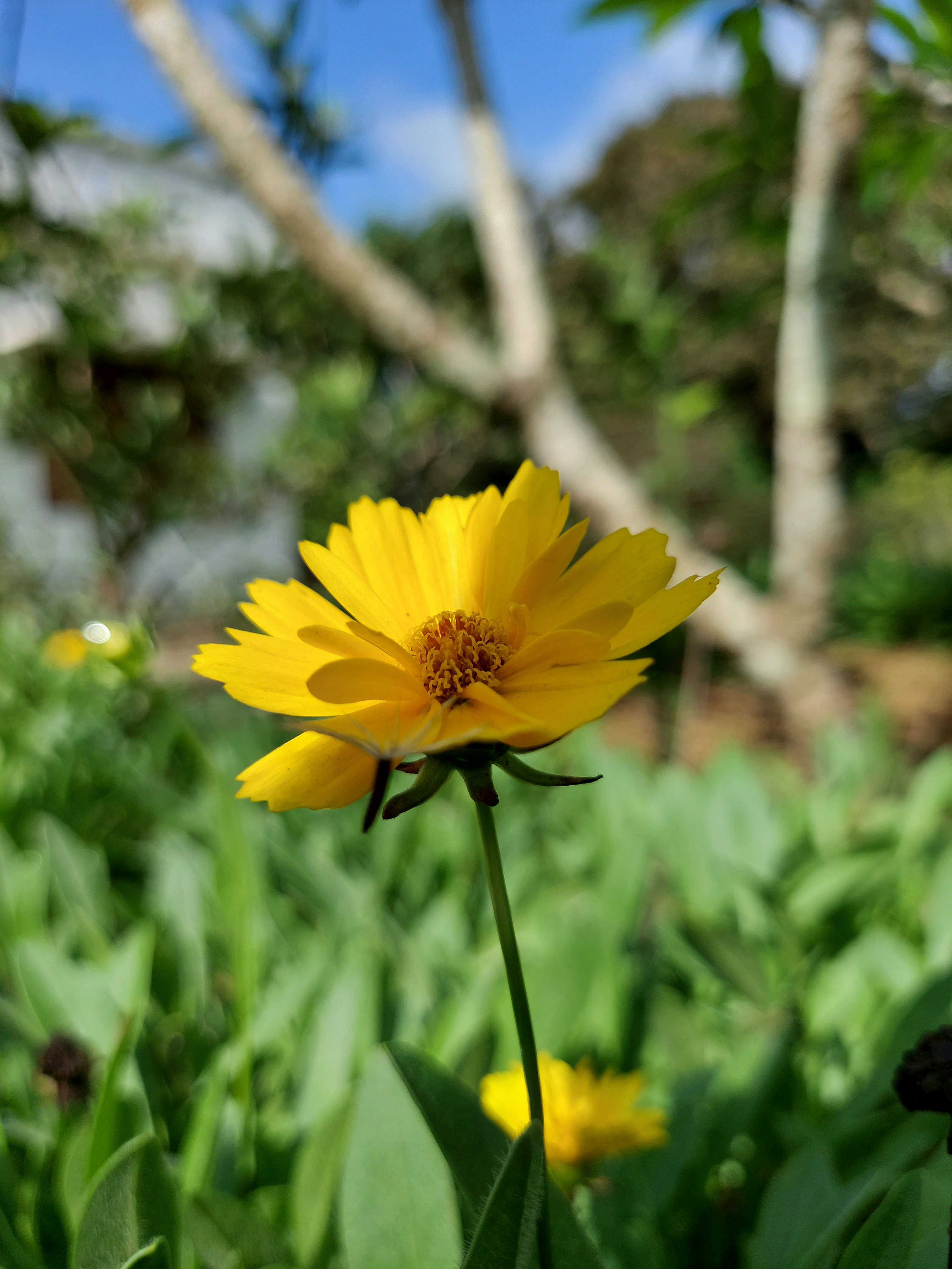 Photo by monica_baskar