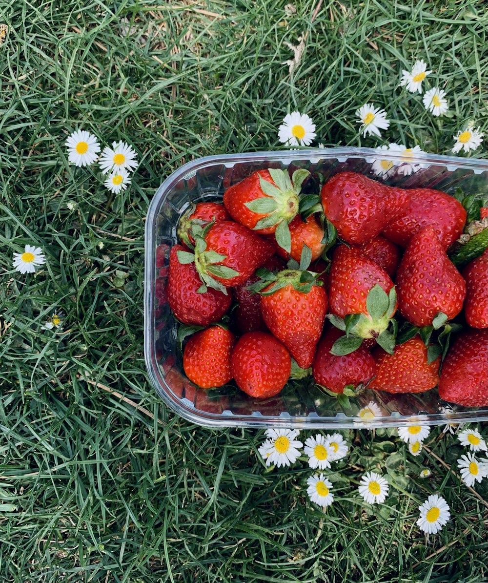 a basket of strawberries