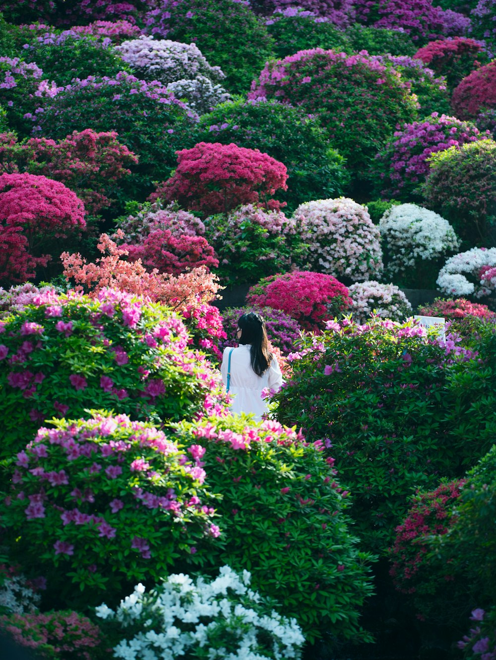 a person standing in a garden