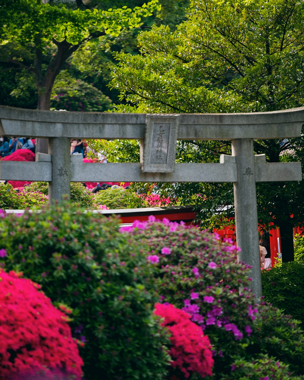 a wooden bridge over a garden