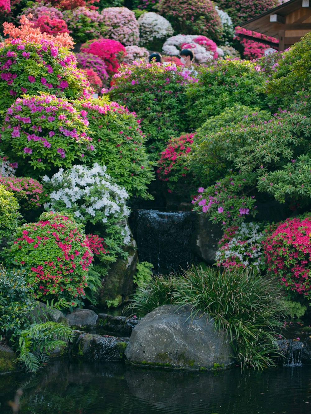 a pond with a rock in it and flowers around it