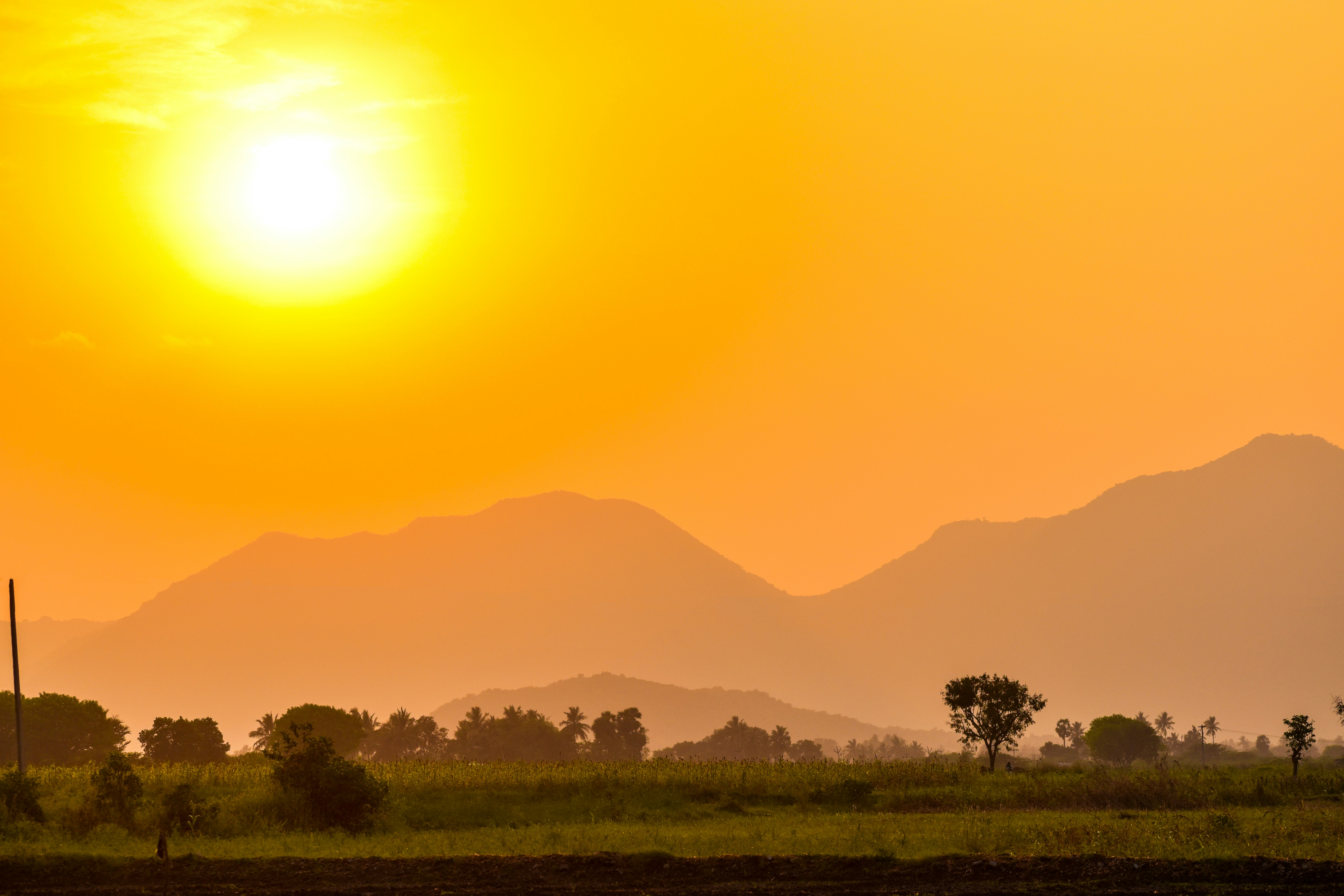 Photo by navi_photography