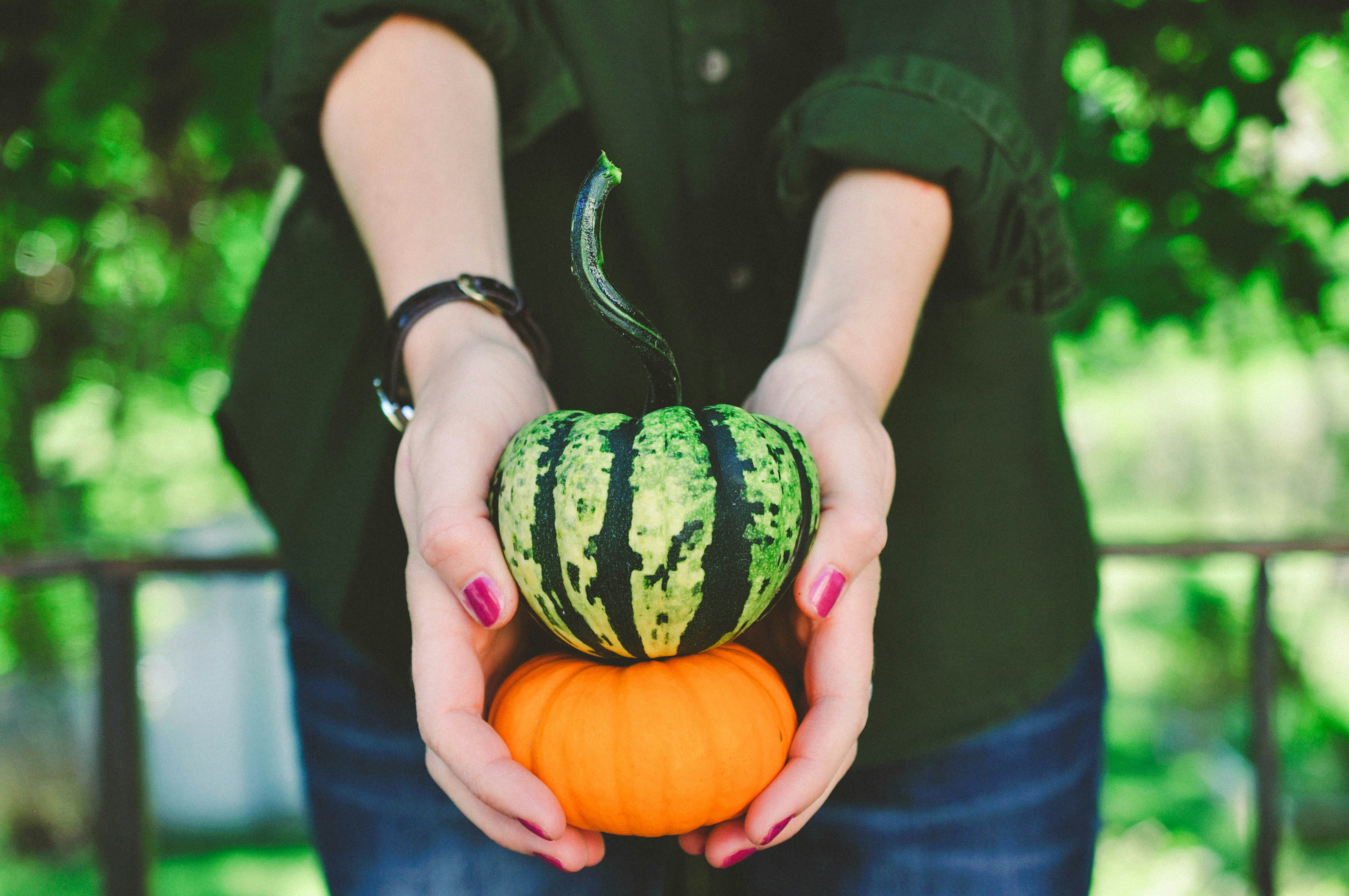 Photo by haleyparson