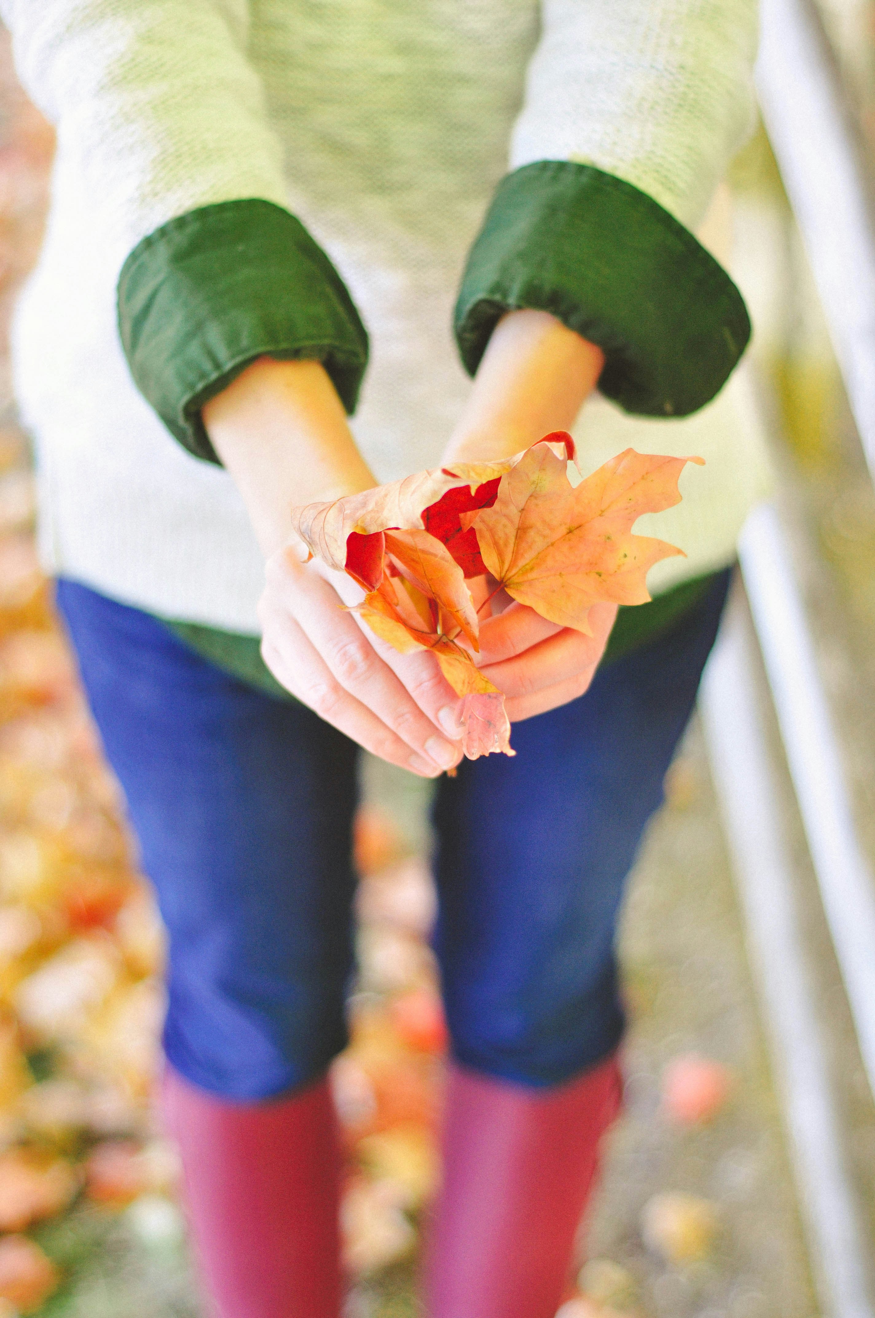 Photo by haleyparson