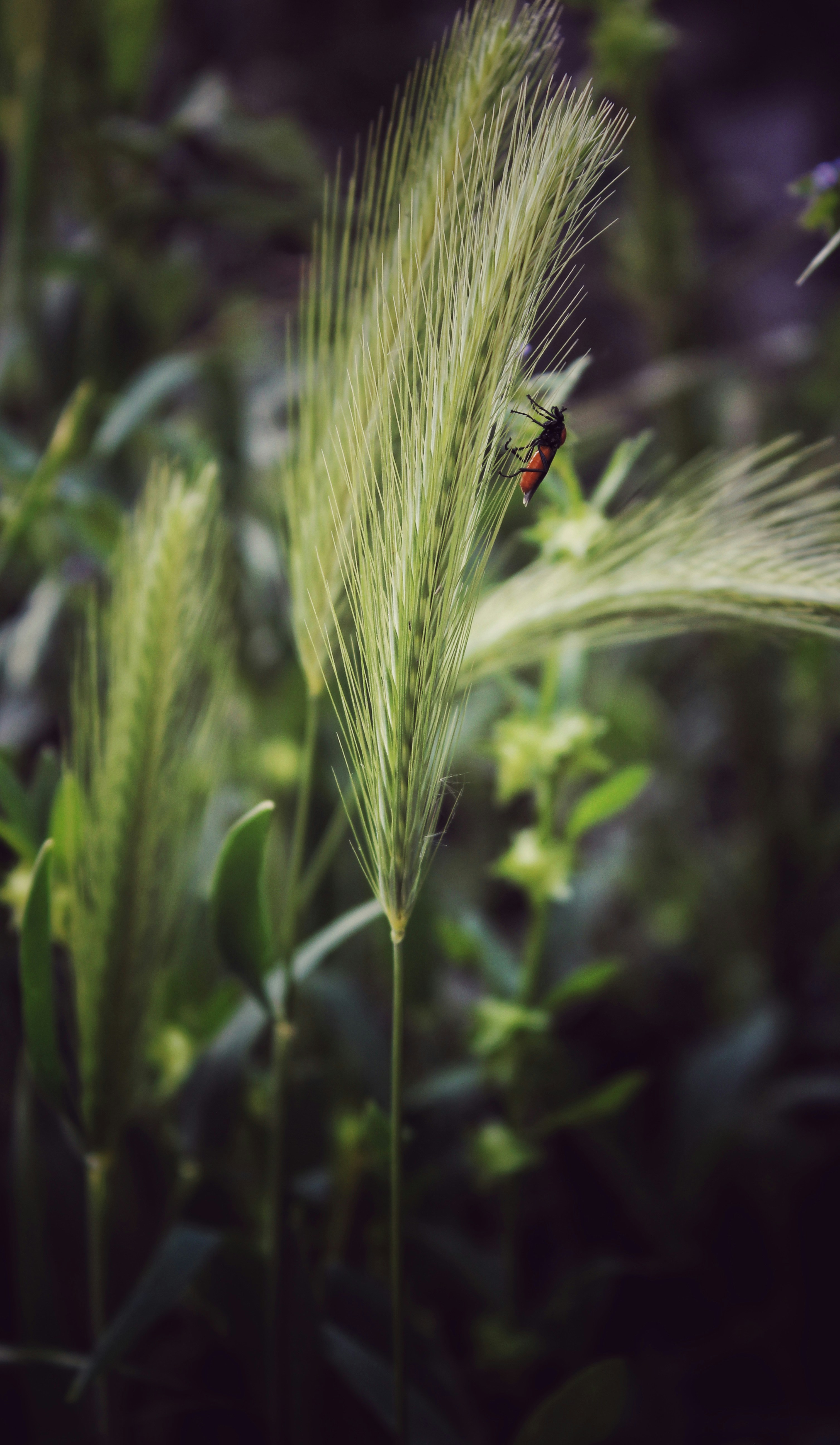 Photo by framesbyharris