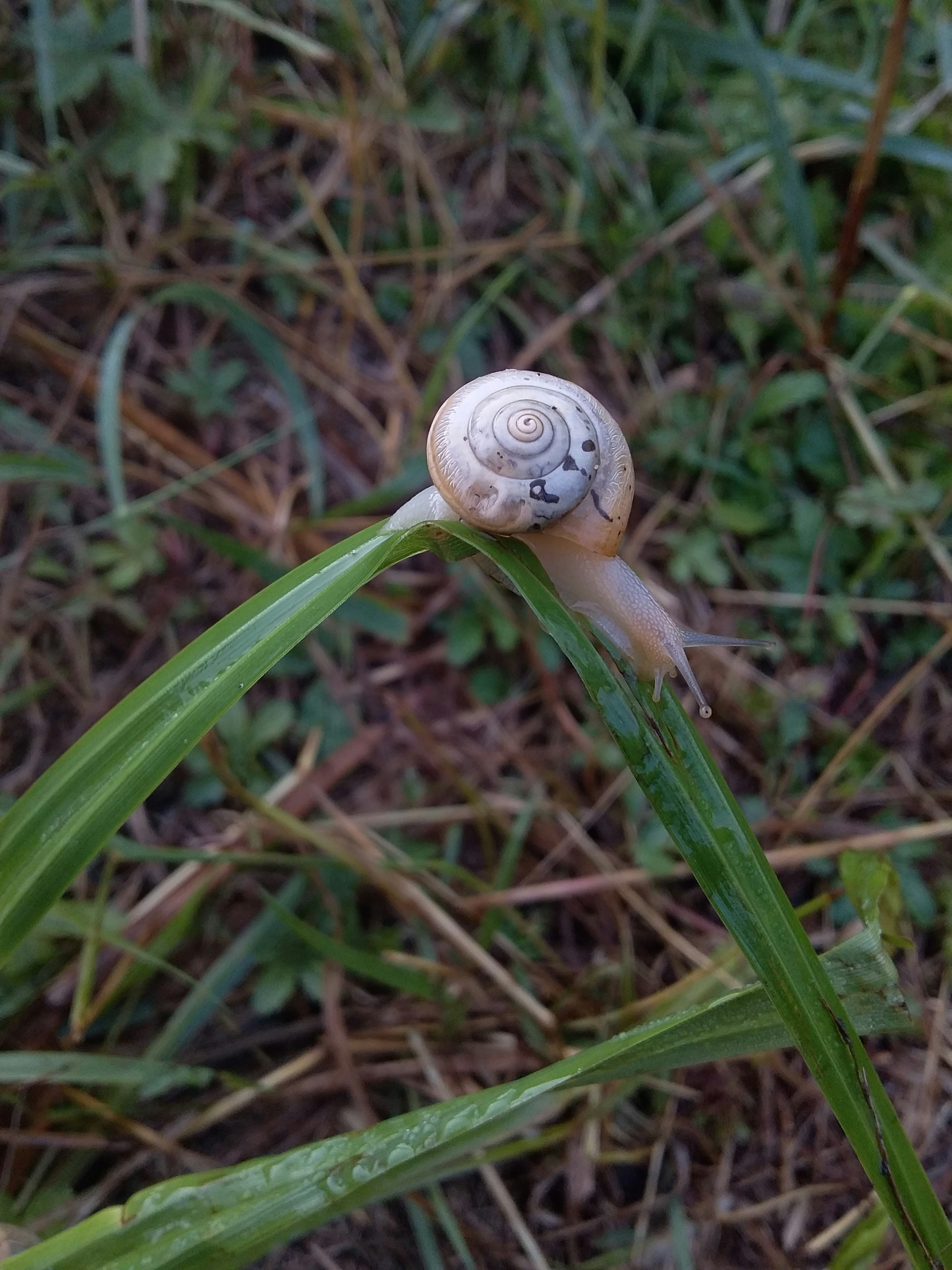 Photo by acardiaingeracardi