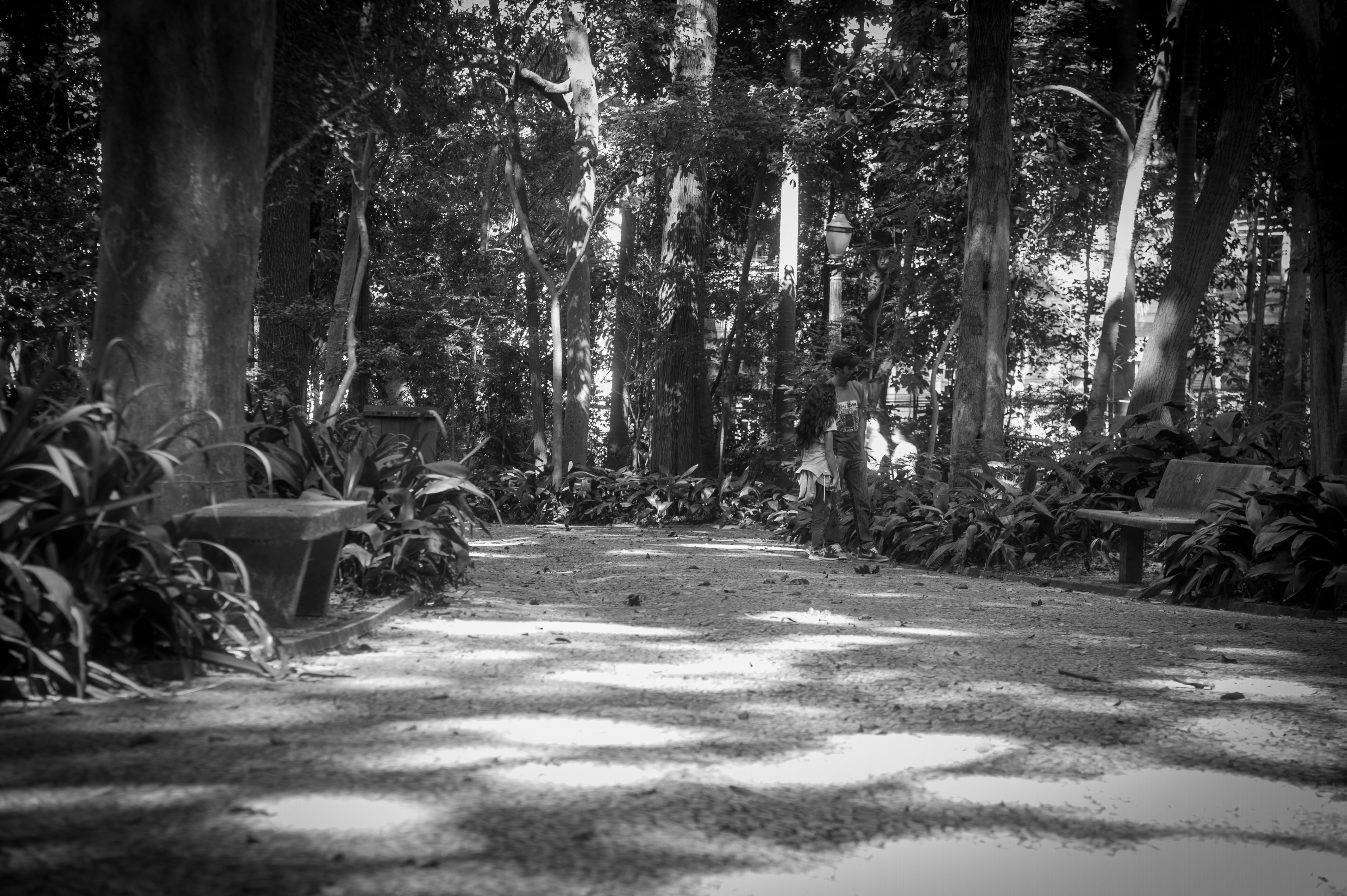 Photo by andersonnikon