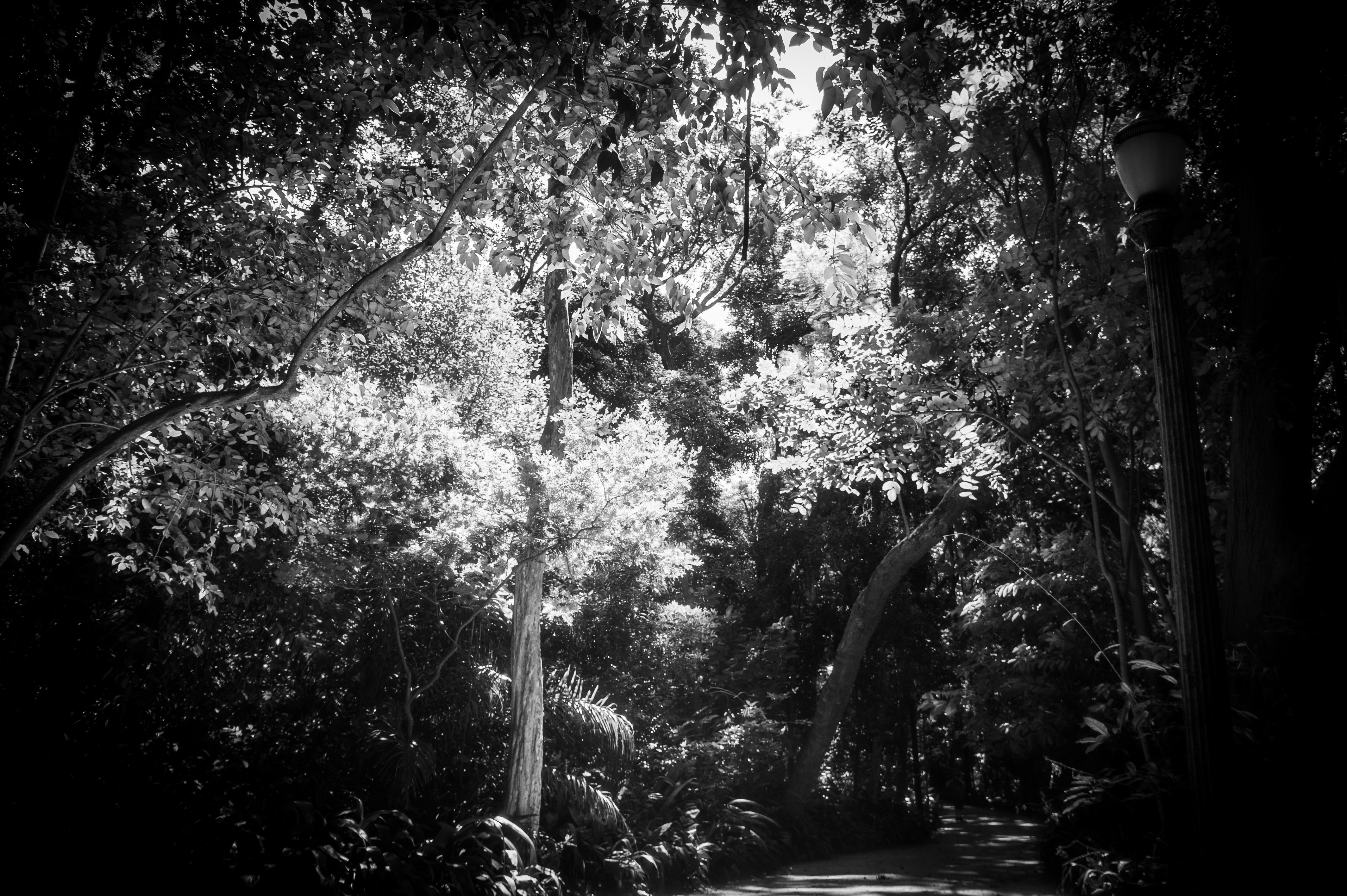 Queva Pets Can Help Keep Your Dog Moving