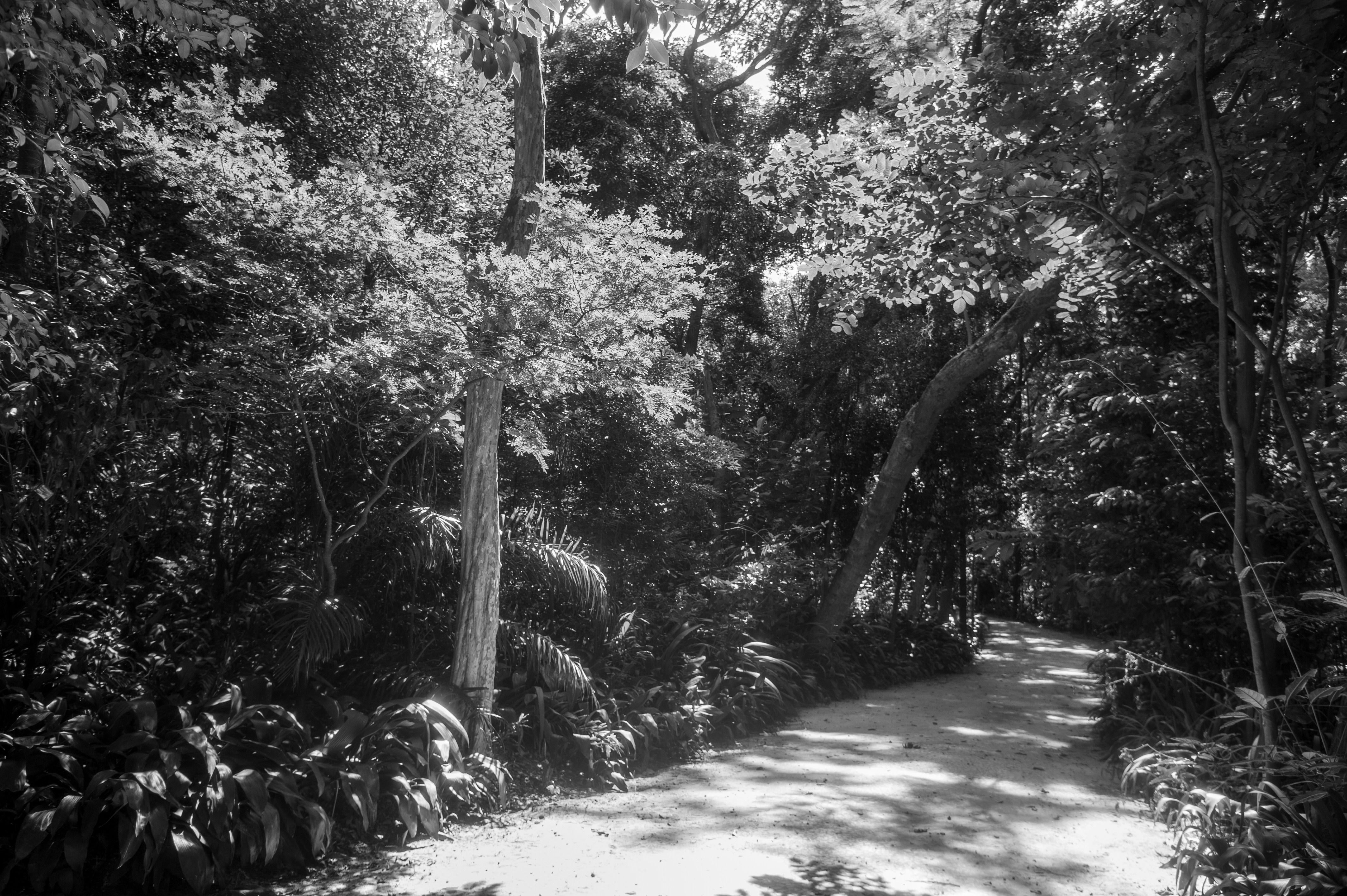 Photo by andersonnikon