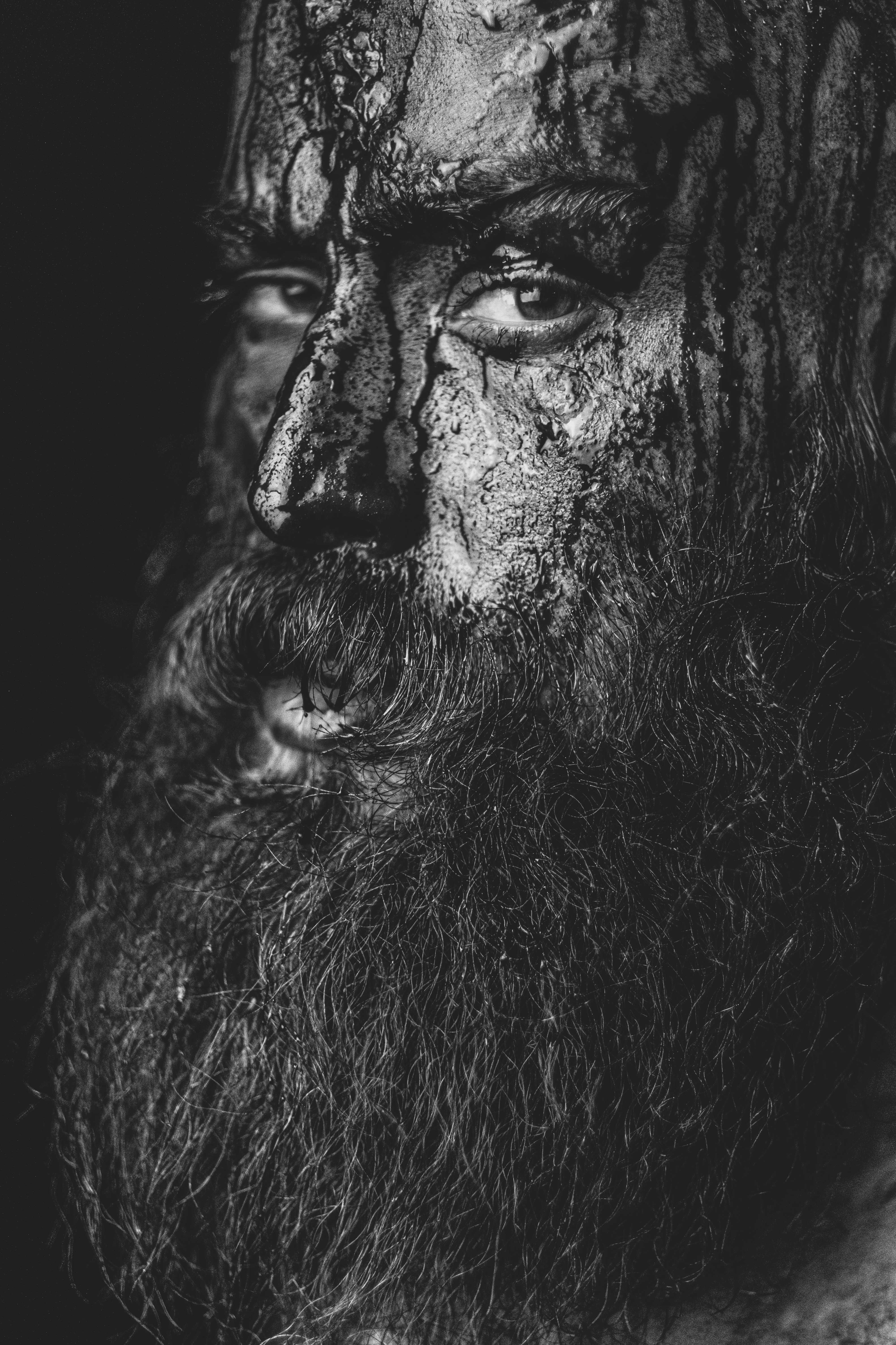 Photo by shahinkhalaji