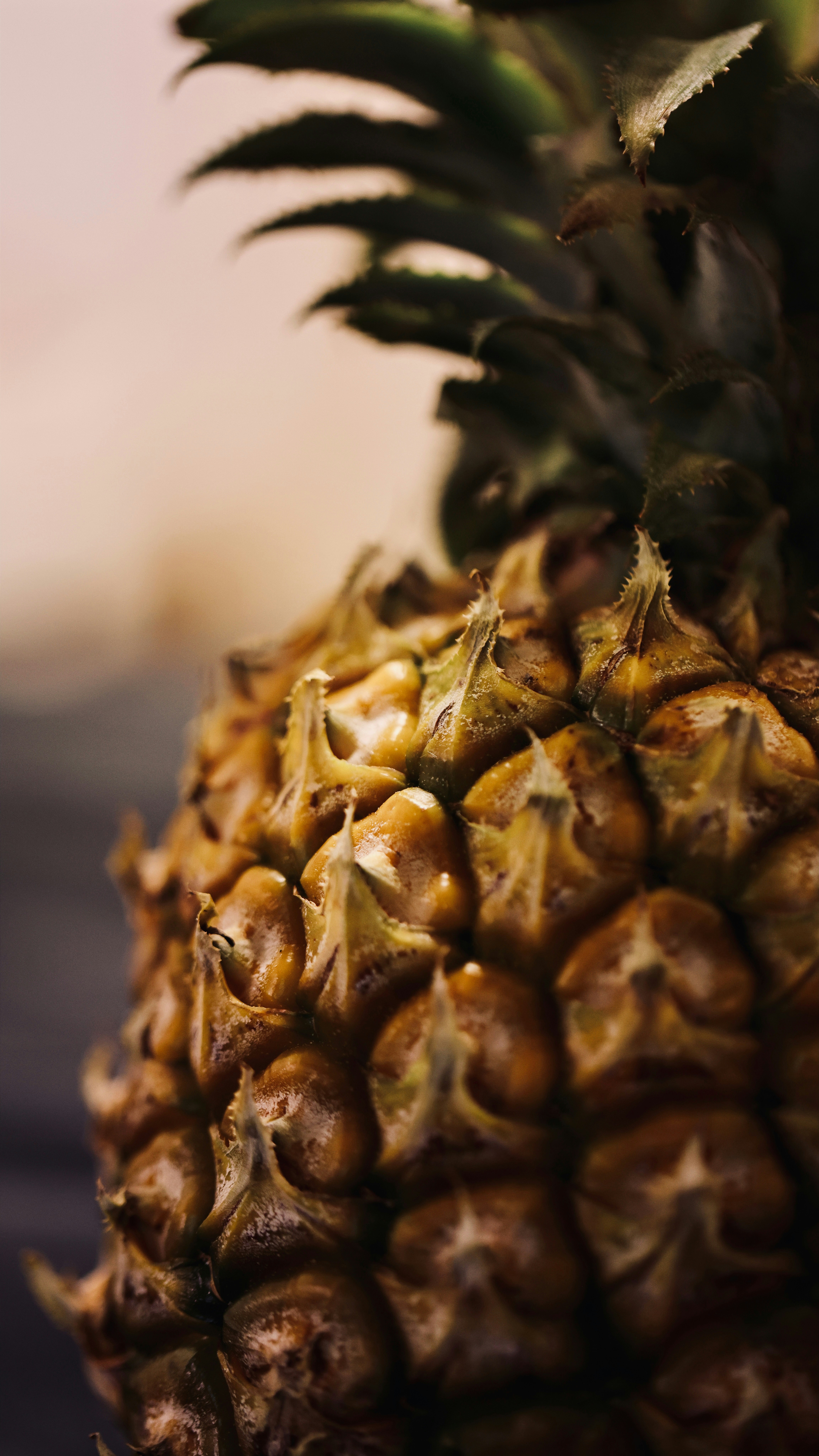 Photo by dickenslin76