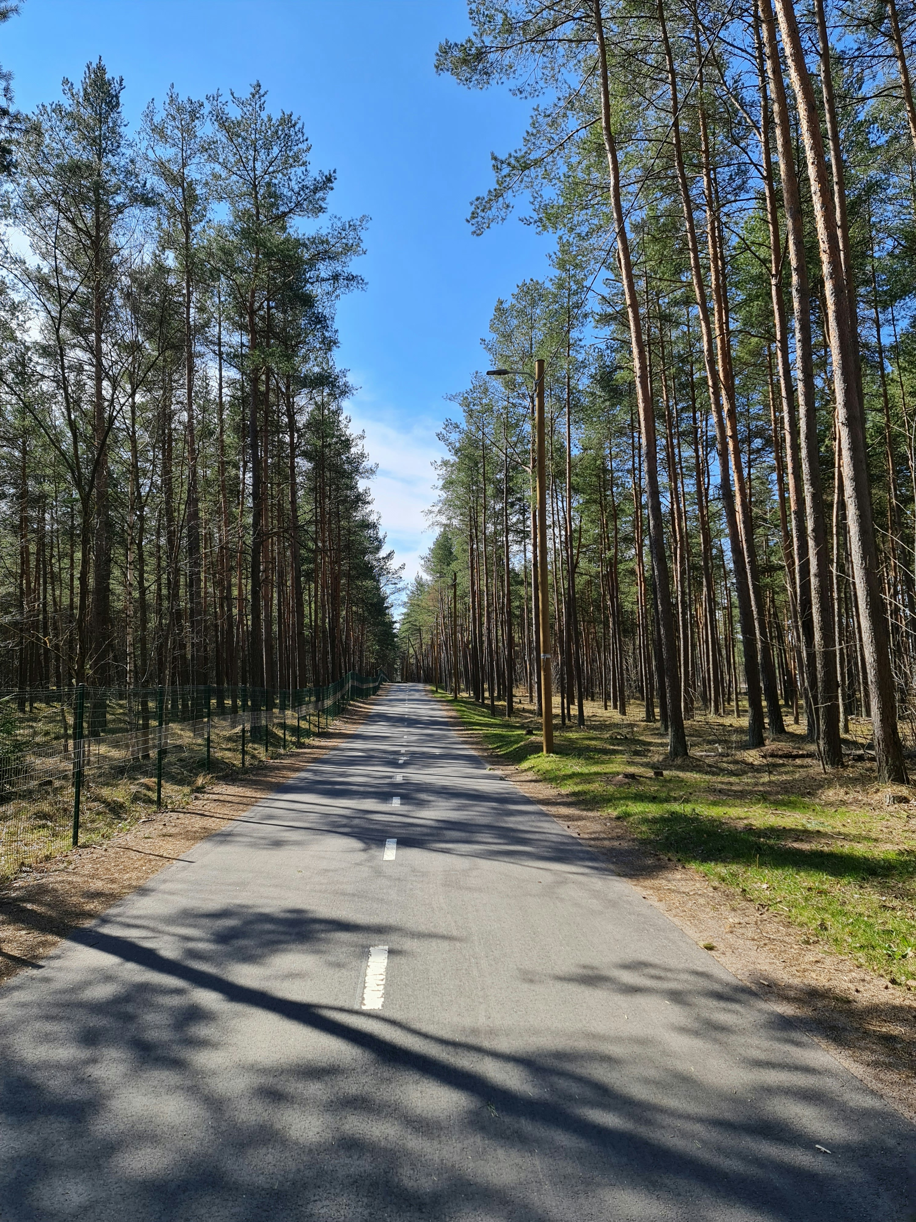 Photo by aleksandrar