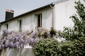 Maison ou appartement pour votre résidence principale ? Budget, charges, entretien et qualité de vie