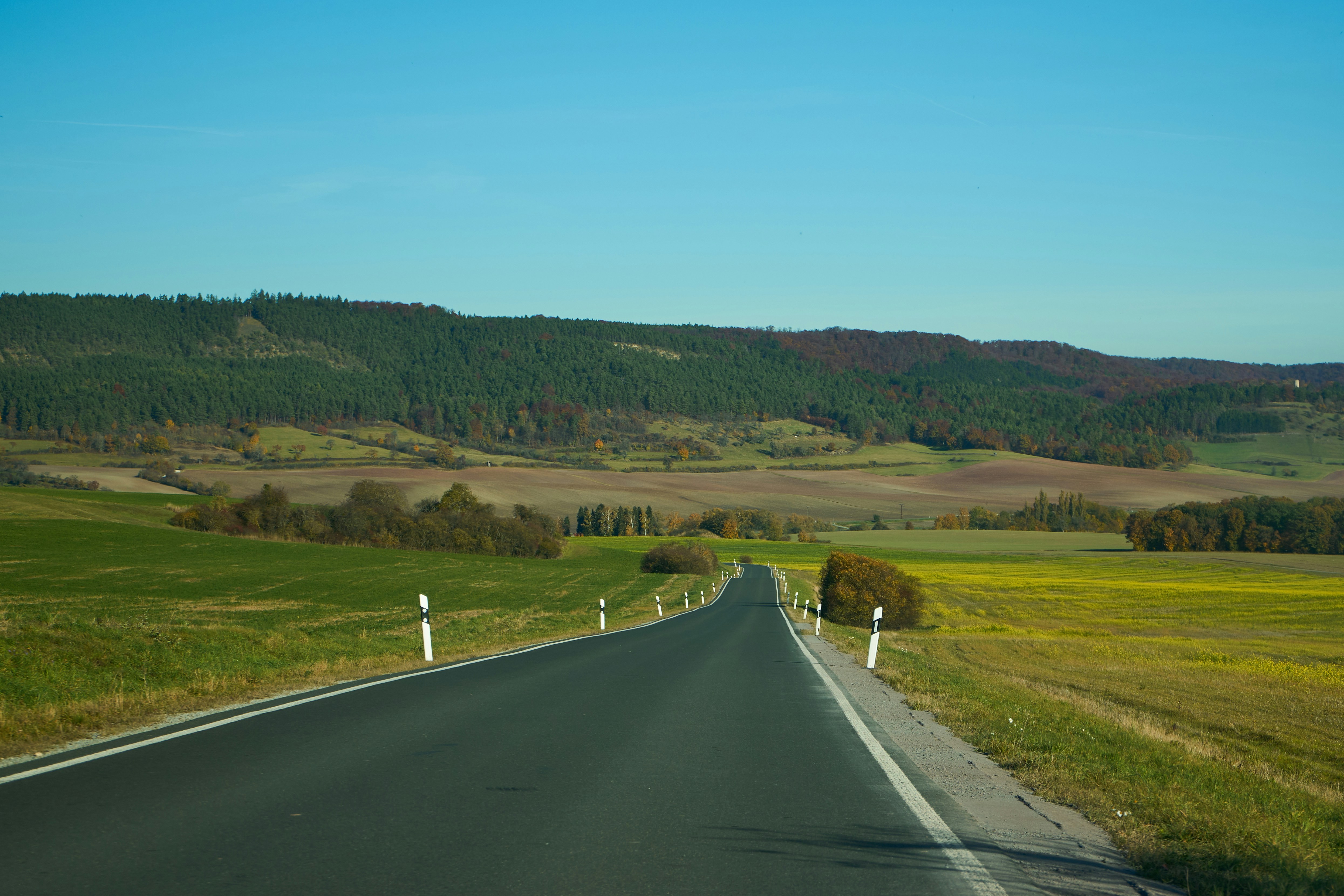 a road with grass and trees on the side