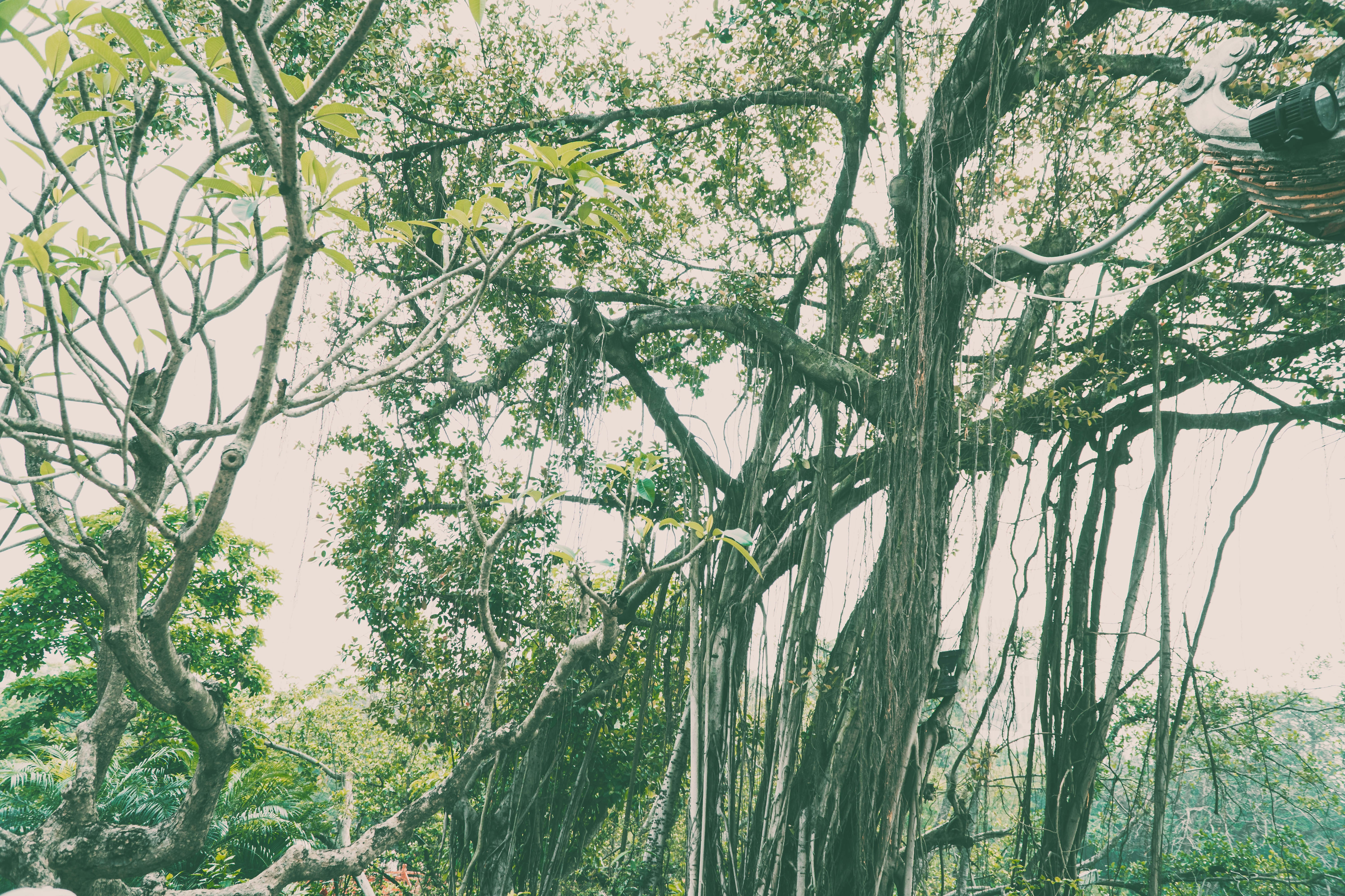 Photo by tex_forteetoo