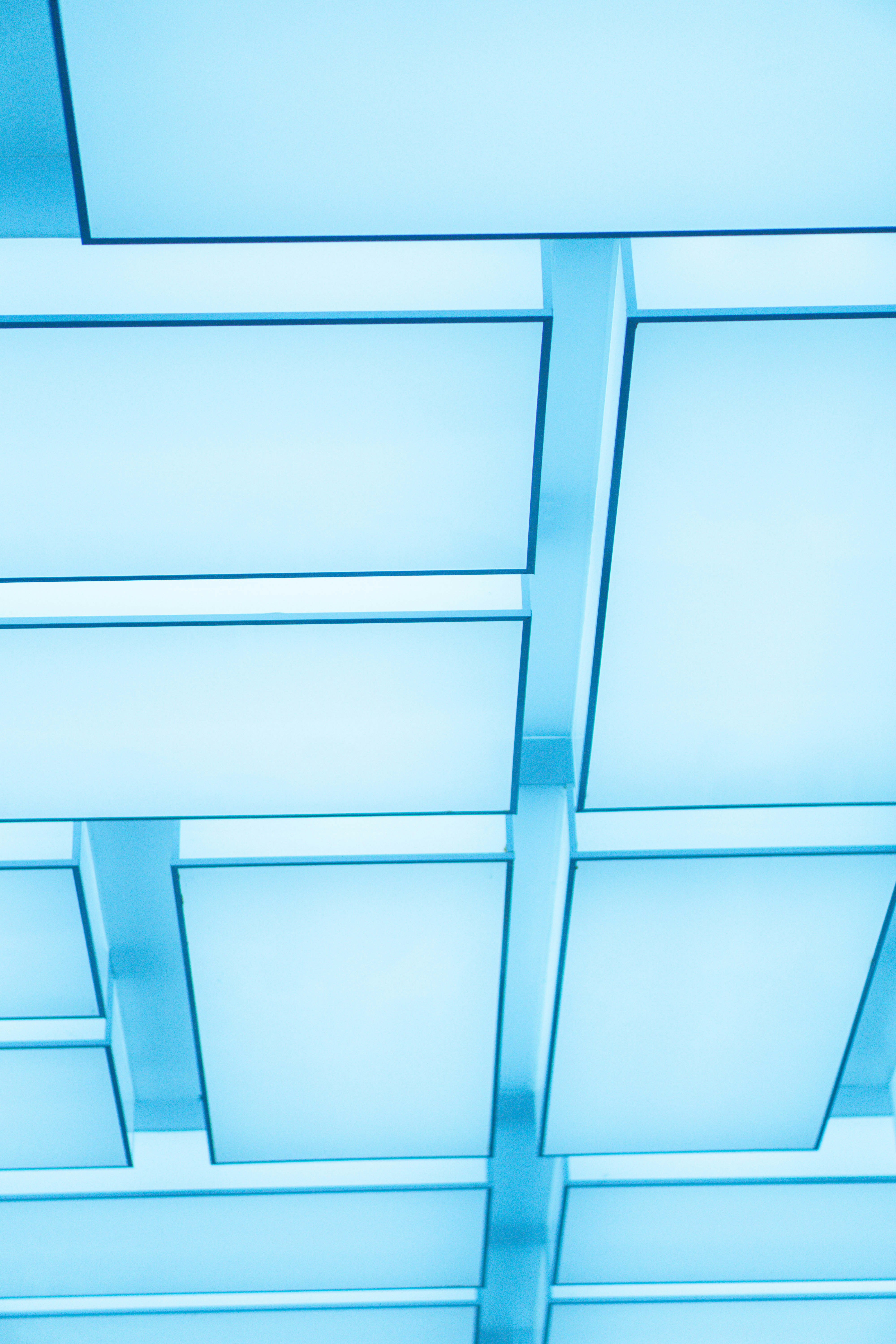 Photo by tex_forteetoo