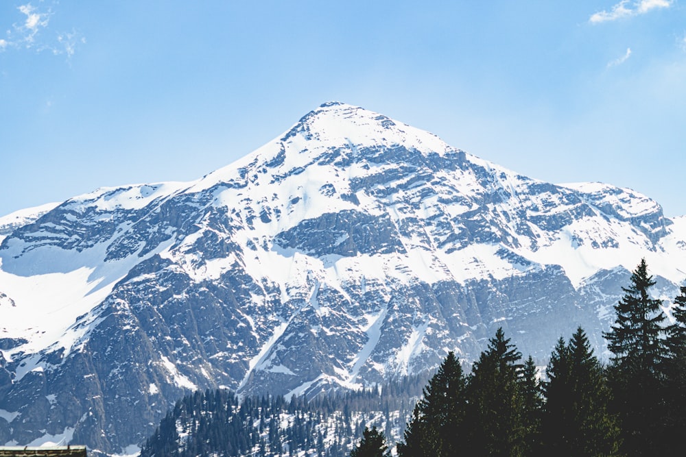 a snowy mountain with trees below