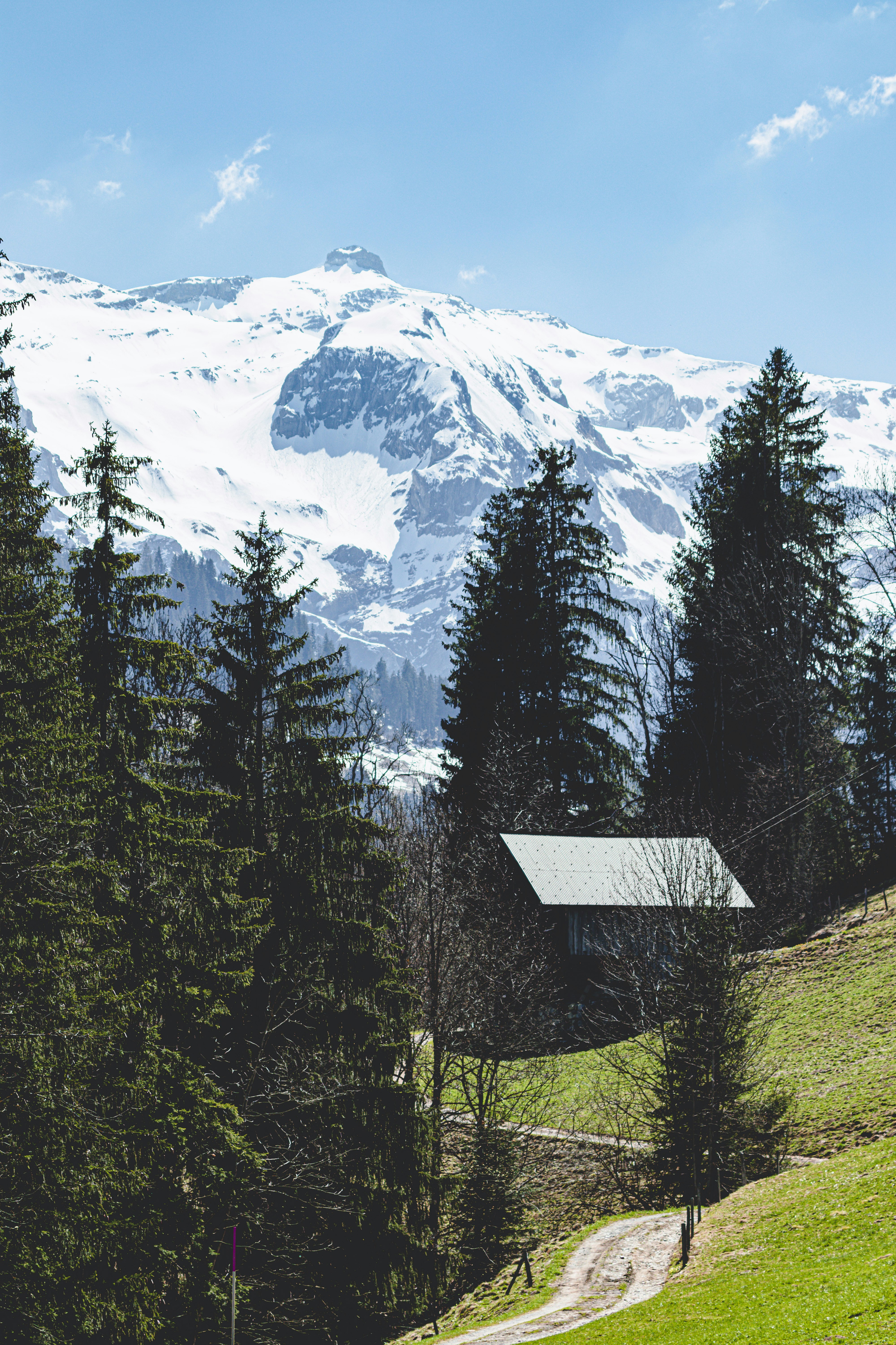 Photo by marco_pregnolato