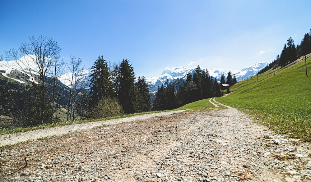 a dirt road with trees on the side and mountains in the background