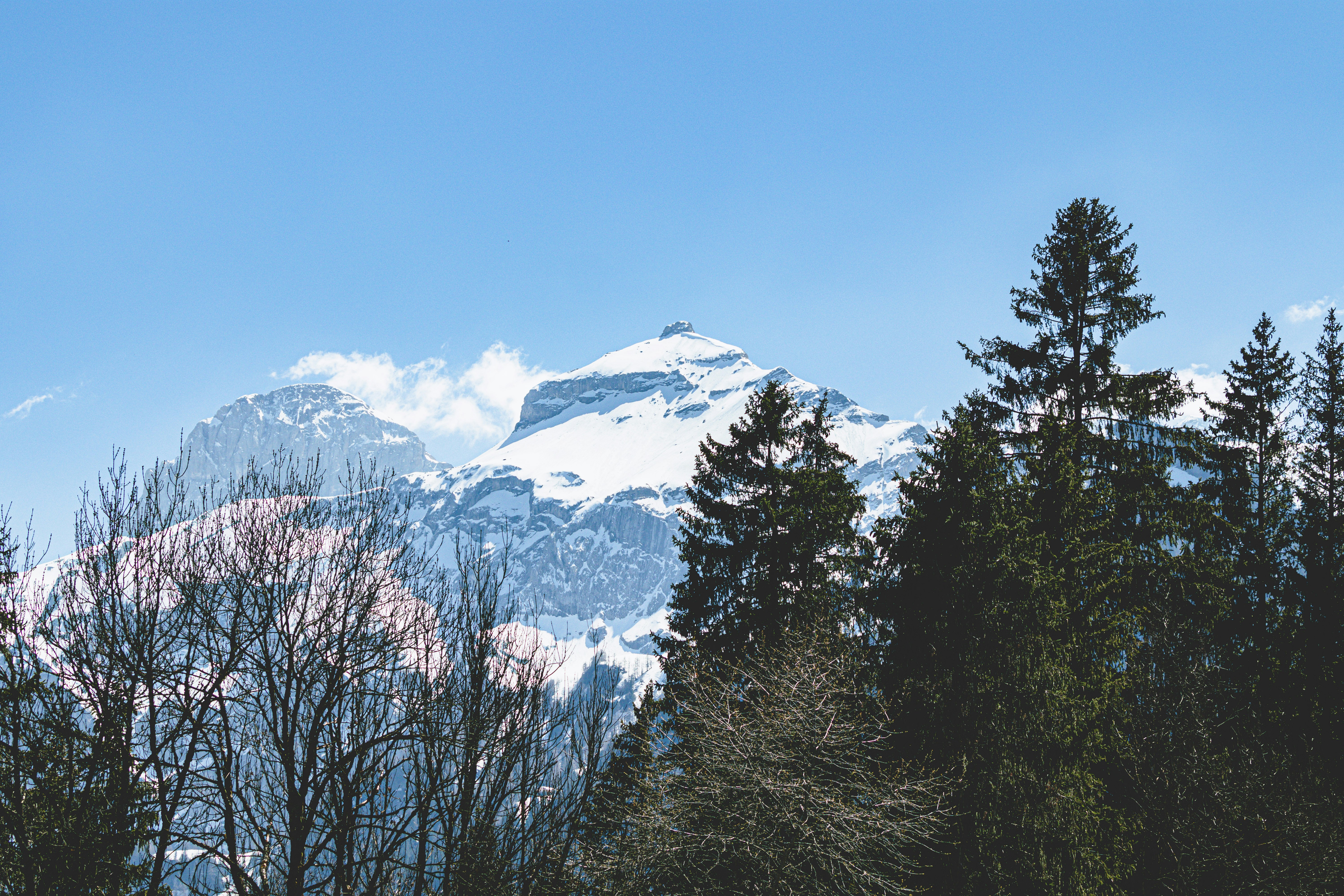 Photo by marco_pregnolato