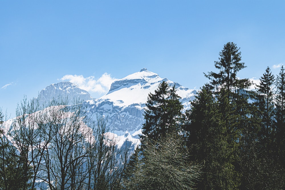 a snowy mountain range