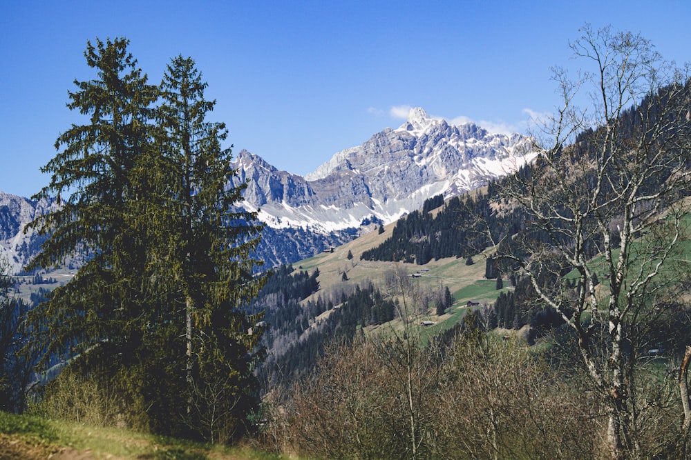 Eine Bergkette mit Schnee