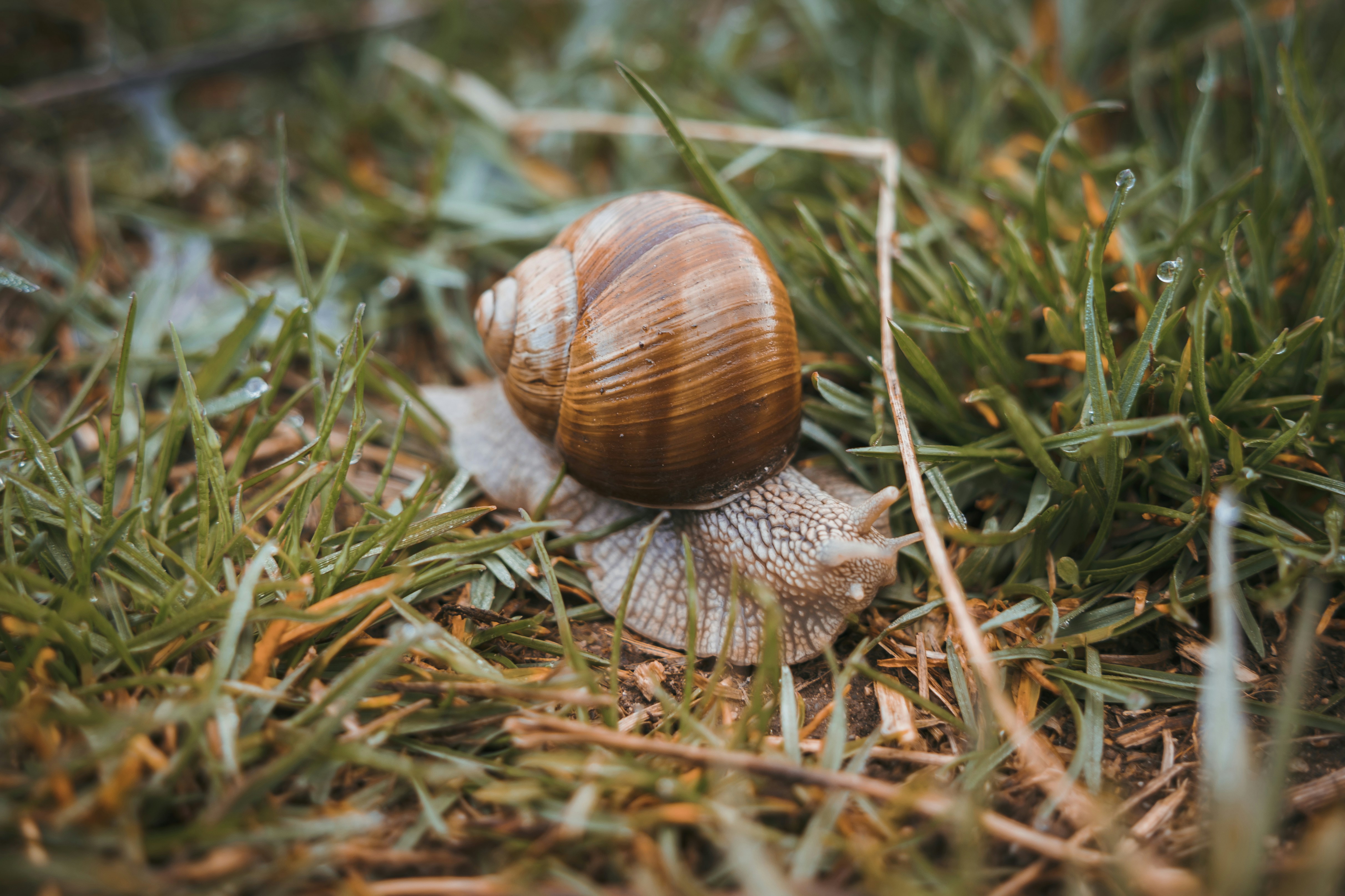 Photo by pino_rumbero