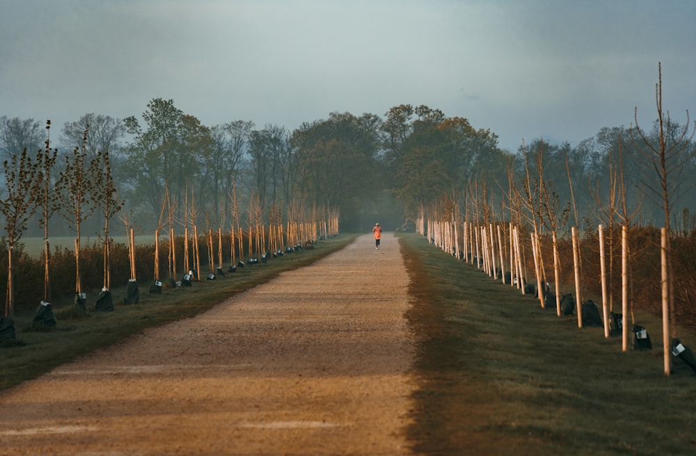 a person walking on a dirt road surrounded by trees