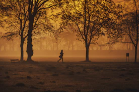 Runner stretching before a morning run in a park