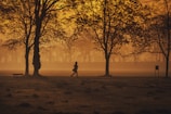 A runner's silhouette against a sunrise over a misty forest trail.