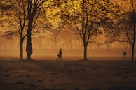 A serene landscape with a person jogging in the early morning light.
