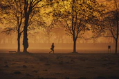 A peaceful sunrise run event with participants jogging along a scenic path in light morning mist