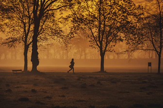 Runner stretching before a morning run in a park