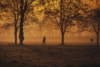 A silhouette of a person running along a pathway in a park-like setting, surrounded by large trees with sparse foliage. The early morning light casts a warm, golden hue over the scene, creating a serene atmosphere. Mist lingers in the distance, enhancing the tranquil feel of the landscape.
