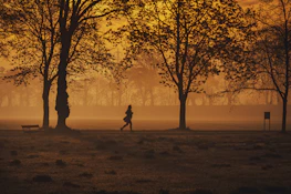 A peaceful sunrise run event with participants jogging along a scenic path in light morning mist