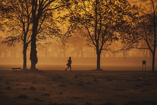 A calm and bright image of a person jogging in a park during sunrise, symbolizing healthy living.