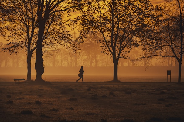 An outdoor scene with a person wearing Lumina Apparel activewear, mid-stride on a park trail at sunrise.