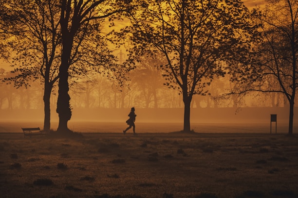 Runner enjoying an early morning jog through a peaceful park with golden sunlight.