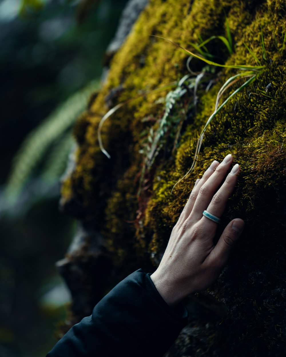 a hand holding a leaf