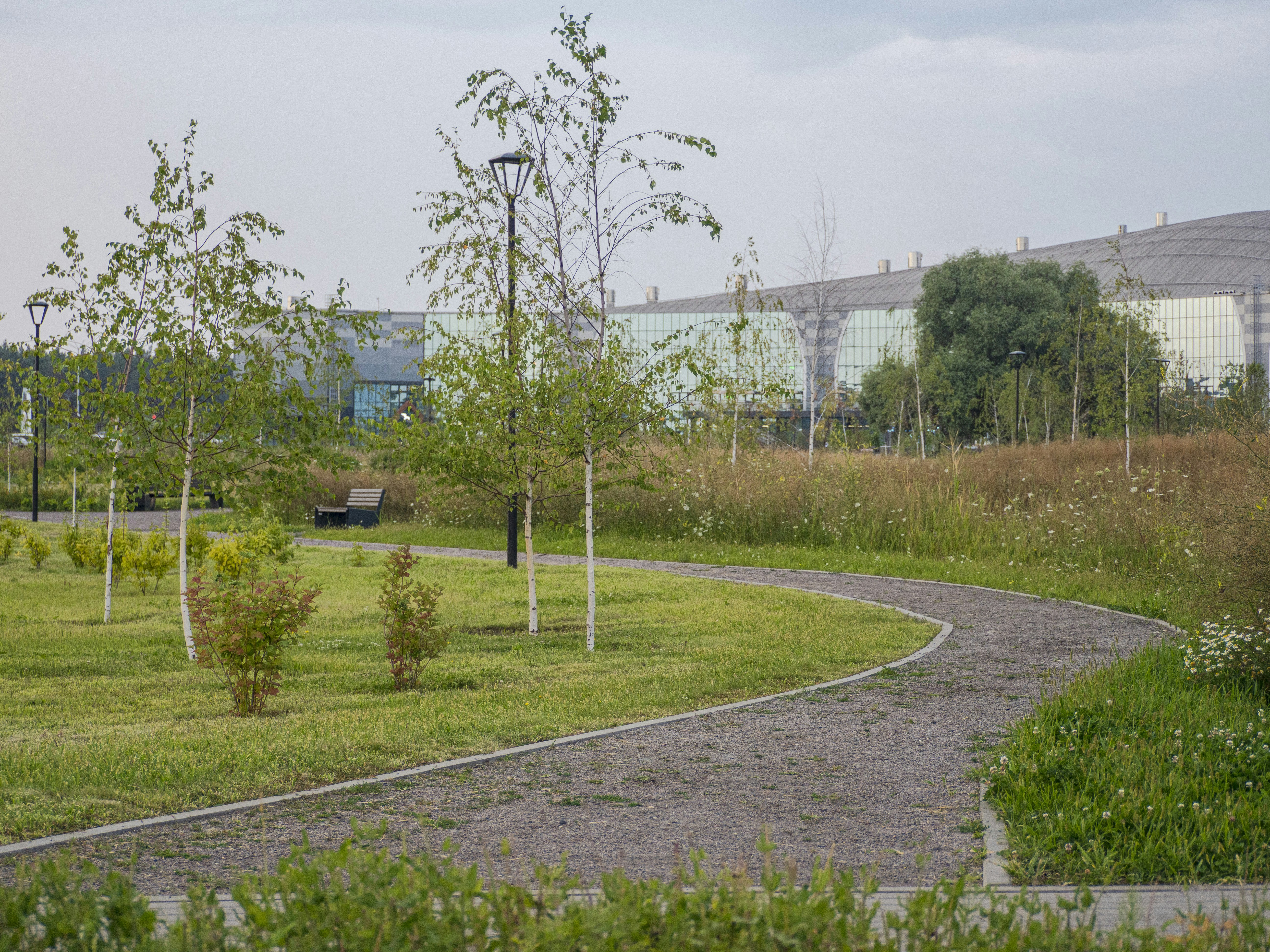 a park with trees and grass