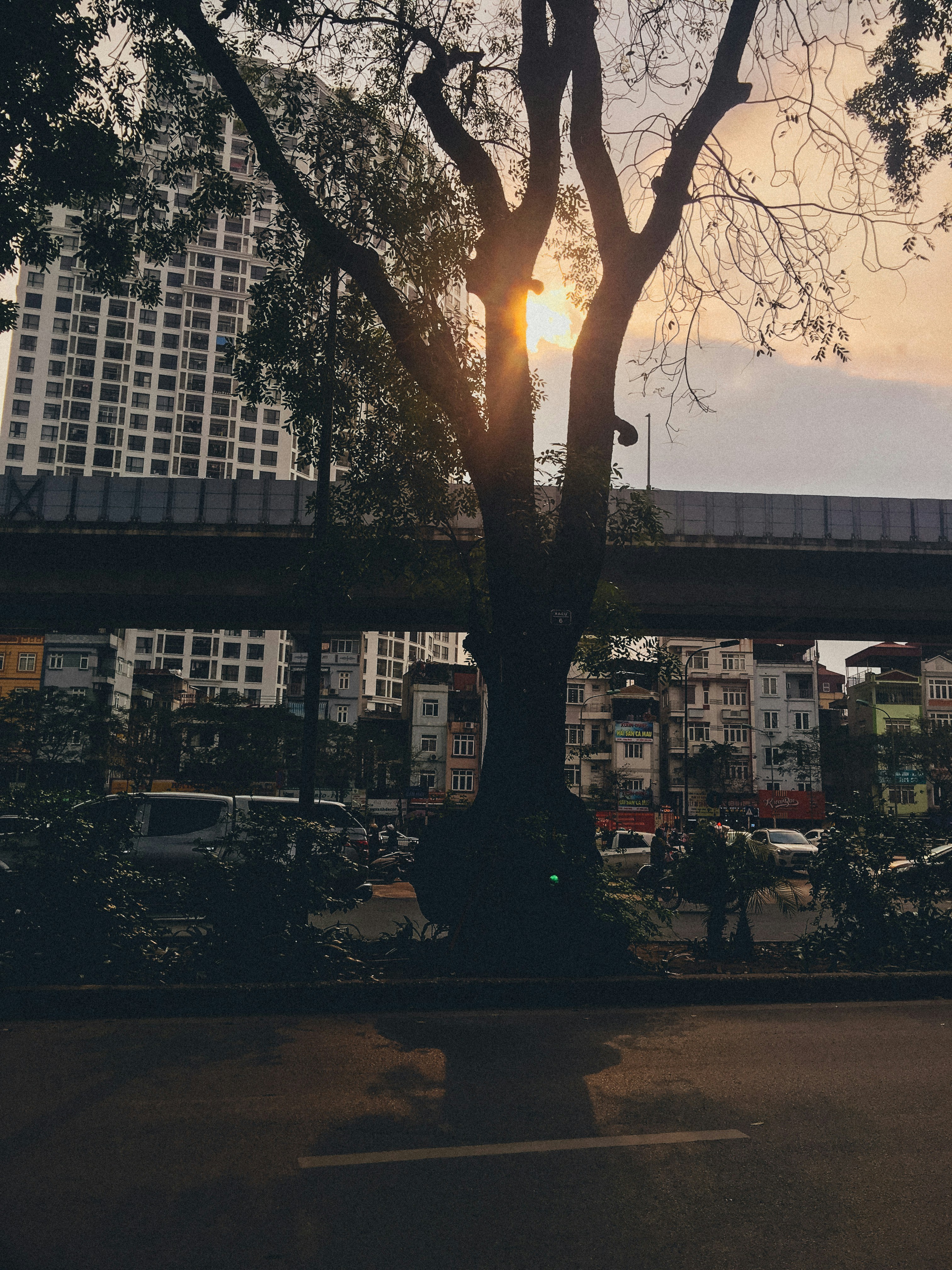 Photo by viettnguyennnnn