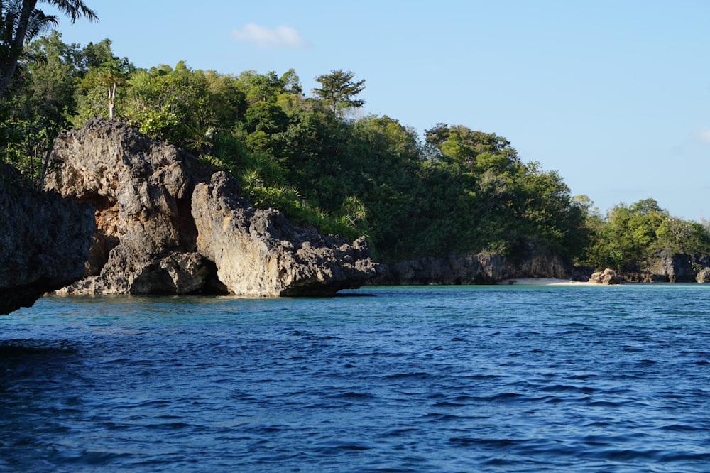 a rocky cliff with trees on it