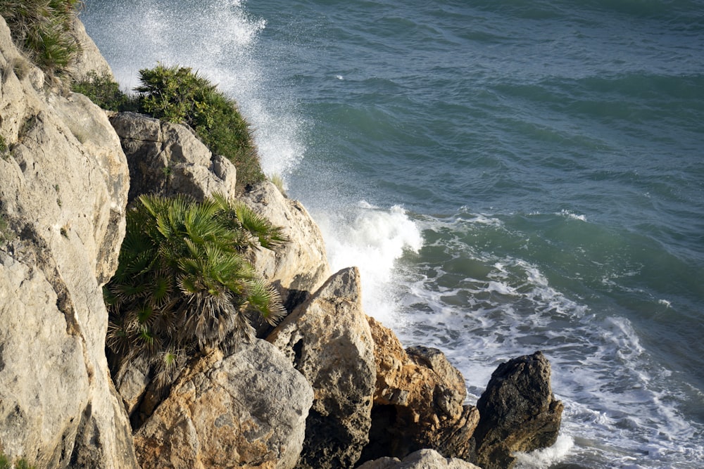 a rocky coast line