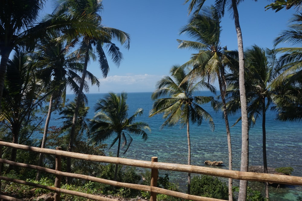 a wooden fence with palm trees and a body of water in the background