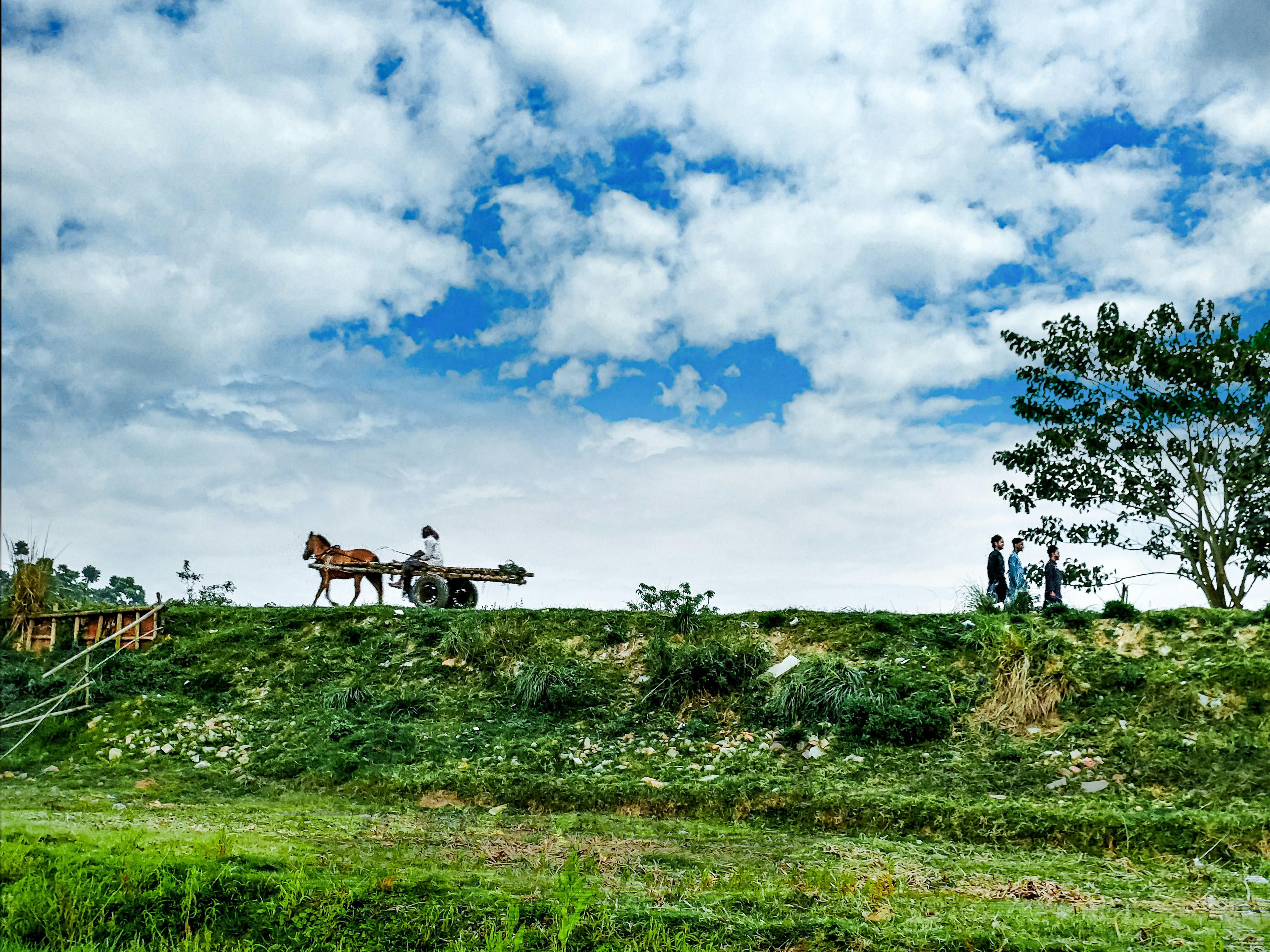 Photo by shahadatrafi2040