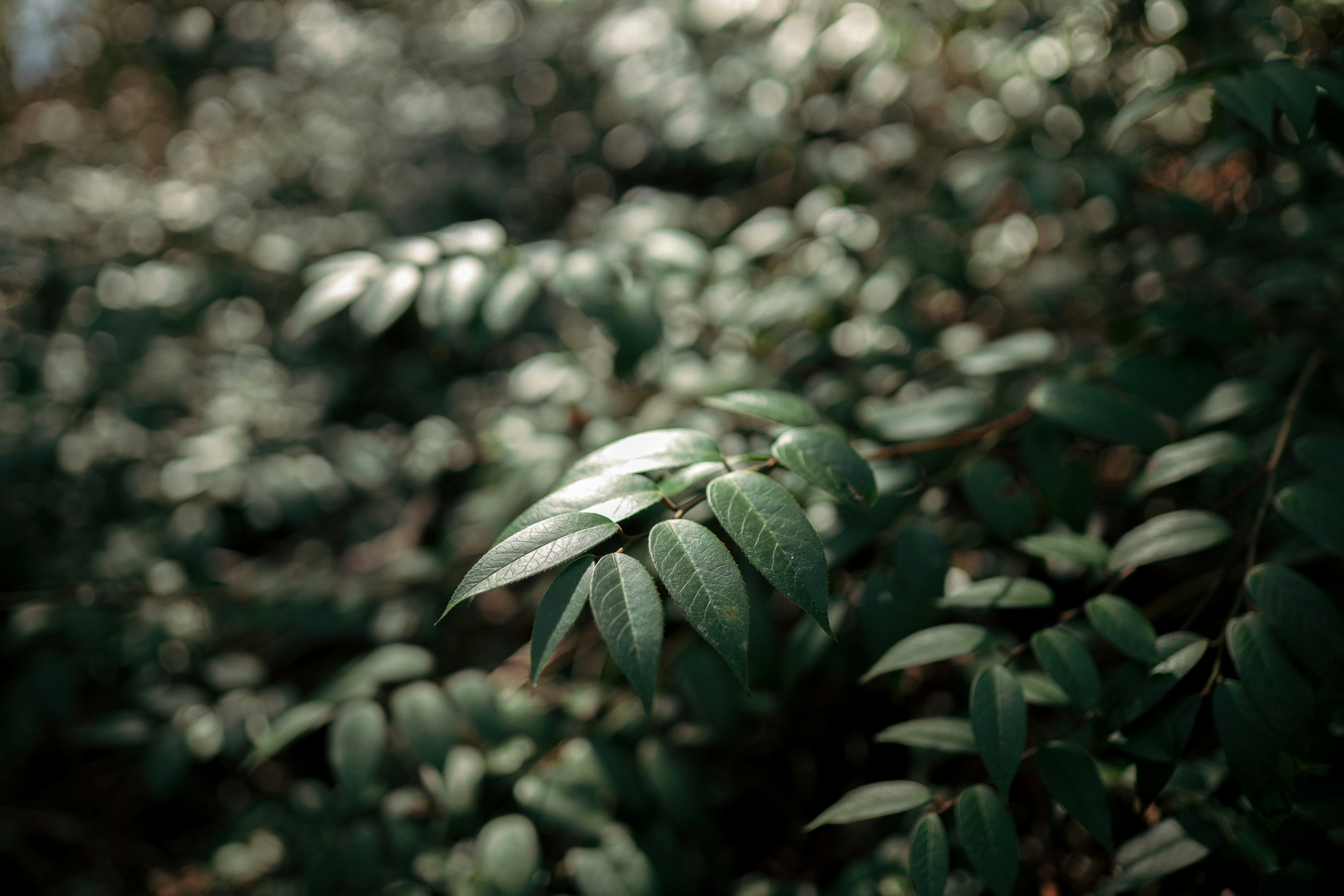 Photo by benhersheyloves