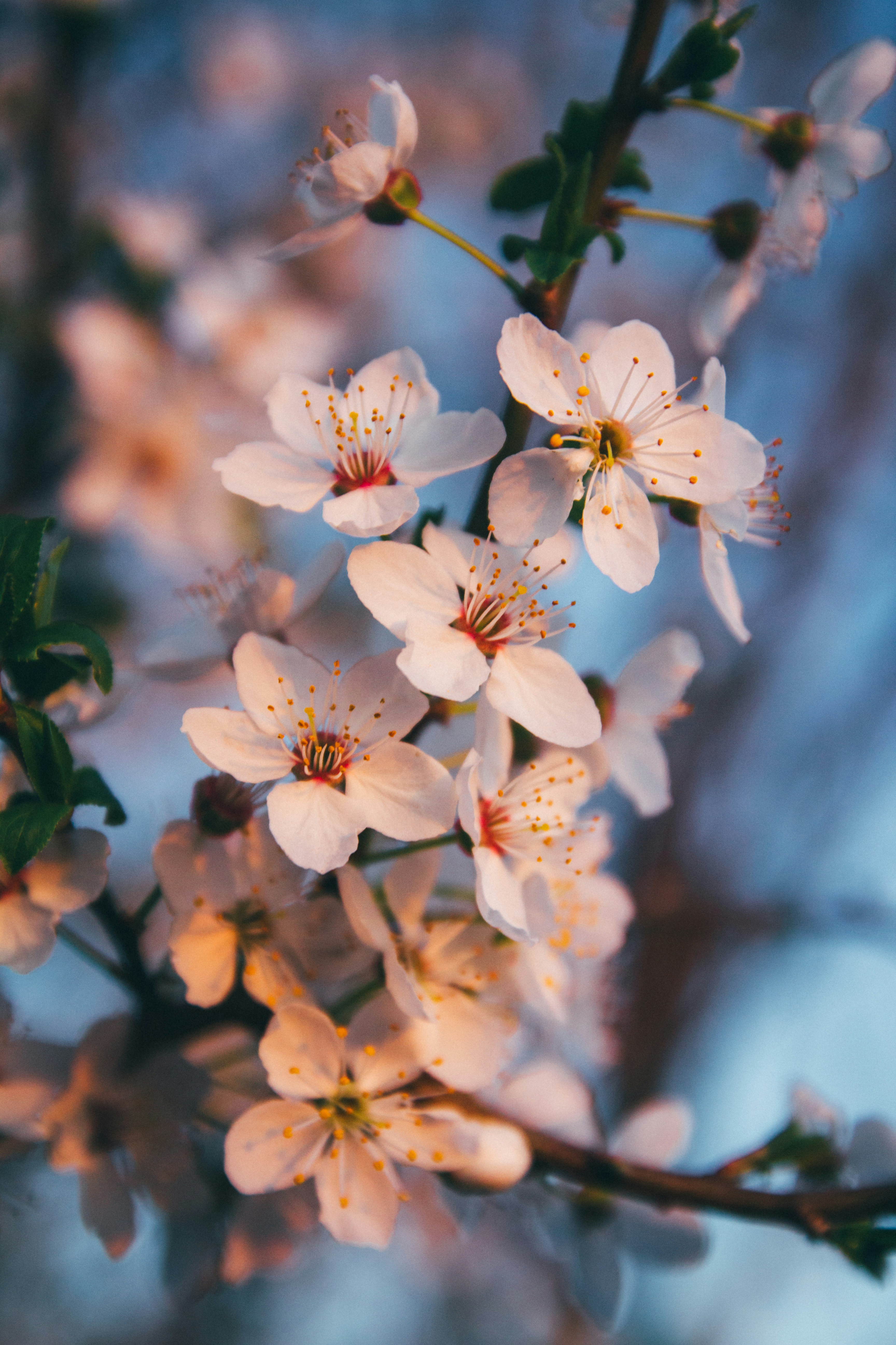 Photo by onmywayhome